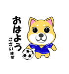 柴犬のサッカー(青シャツ)（個別スタンプ：1）