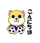 柴犬のサッカー(青シャツ)（個別スタンプ：2）