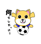 柴犬のサッカー(青シャツ)（個別スタンプ：4）