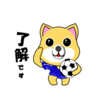 柴犬のサッカー(青シャツ)（個別スタンプ：6）