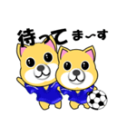 柴犬のサッカー(青シャツ)（個別スタンプ：8）