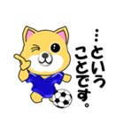 柴犬のサッカー(青シャツ)（個別スタンプ：9）