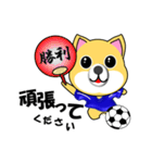柴犬のサッカー(青シャツ)（個別スタンプ：10）
