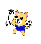 柴犬のサッカー(青シャツ)（個別スタンプ：13）