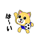 柴犬のサッカー(青シャツ)（個別スタンプ：14）