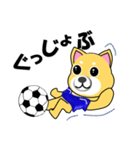 柴犬のサッカー(青シャツ)（個別スタンプ：17）