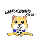 柴犬のサッカー(青シャツ)（個別スタンプ：19）