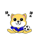 柴犬のサッカー(青シャツ)（個別スタンプ：21）