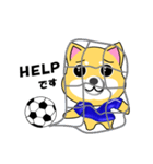 柴犬のサッカー(青シャツ)（個別スタンプ：22）