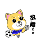 柴犬のサッカー(青シャツ)（個別スタンプ：23）