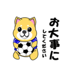 柴犬のサッカー(青シャツ)（個別スタンプ：25）