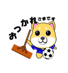 柴犬のサッカー(青シャツ)（個別スタンプ：26）