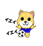 柴犬のサッカー(青シャツ)（個別スタンプ：31）