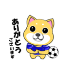 柴犬のサッカー(青シャツ)（個別スタンプ：32）