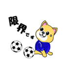 柴犬のサッカー(青シャツ)（個別スタンプ：33）