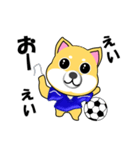 柴犬のサッカー(青シャツ)（個別スタンプ：36）