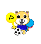 柴犬のサッカー(青シャツ)（個別スタンプ：38）