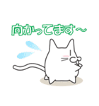 猫ぽんの日常会話（個別スタンプ：6）