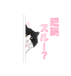 猫と犬の日常スタンプ（個別スタンプ：6）