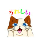 猫の福太郎（個別スタンプ：4）