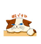 猫の福太郎（個別スタンプ：13）