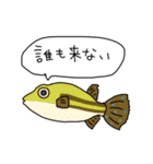 たのしいきけんな魚スタンプ（個別スタンプ：13）