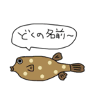 たのしいきけんな魚スタンプ（個別スタンプ：24）