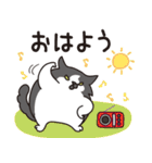 はらぺこ猫の応援（個別スタンプ：1）