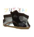 怠惰な猫のいる風景（個別スタンプ：23）