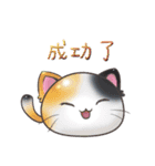 ねこスライム02 -頑張って（個別スタンプ：21）