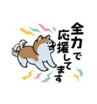 応援する秋田犬（個別スタンプ：18）