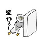 白いふくろう（個別スタンプ：39）