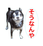 サンキューおっさんとゆかいな仲間達 59（個別スタンプ：6）