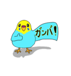 インコのハッピーちゃん2（個別スタンプ：1）