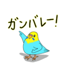 インコのハッピーちゃん2（個別スタンプ：2）