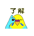 インコのハッピーちゃん2（個別スタンプ：5）