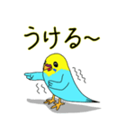 インコのハッピーちゃん2（個別スタンプ：31）