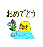 インコのハッピーちゃん2（個別スタンプ：34）