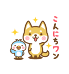 柴犬さんたちのシンプルスタンプ 2（個別スタンプ：1）