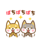 柴犬さんたちのシンプルスタンプ 2（個別スタンプ：19）