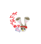 Pichi Rabbit2（個別スタンプ：10）
