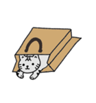 私の猫 レオ（個別スタンプ：16）