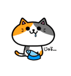 ゆるねこ(仮)（個別スタンプ：13）