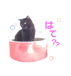 ぐりすたんぷ（個別スタンプ：2）