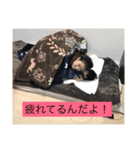 達己③（個別スタンプ：7）