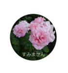 薔薇と敬語（個別スタンプ：10）