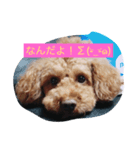 かわいい犬のスタンプ( ^ω^ )（個別スタンプ：2）