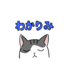 ねこのスタンプbyひかげ（個別スタンプ：2）