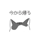 ねこのスタンプbyひかげ（個別スタンプ：13）