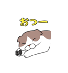 ねこのスタンプbyひかげ（個別スタンプ：14）